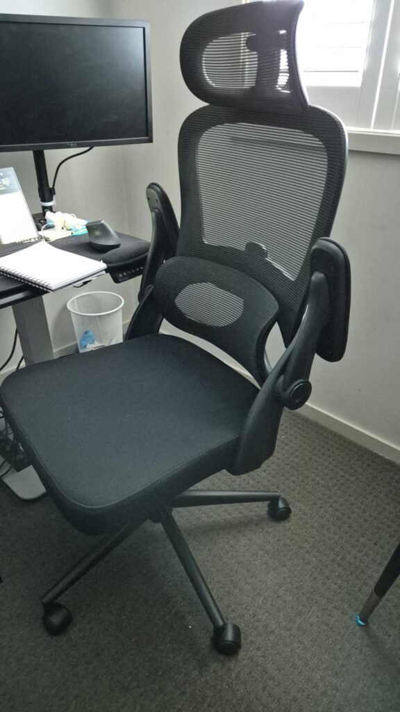 view of unboxed sihoo office chair australia under $200 tried and tested for several week unboxing purchased package arrival at home testing experience