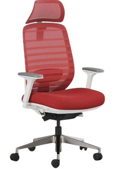 recess ergo pro 2.0 office chair for long hours australia