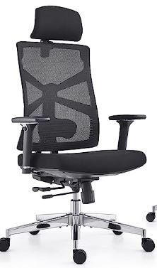 holludle ergonomic chair australia under $300 for back pain